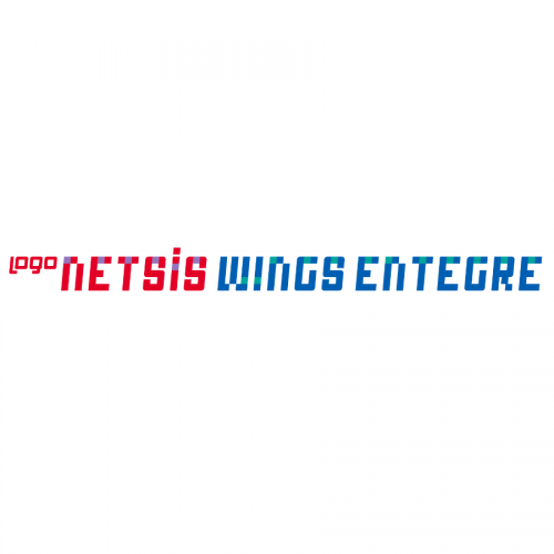 Logo Netsis 3 Enterprise Resmi